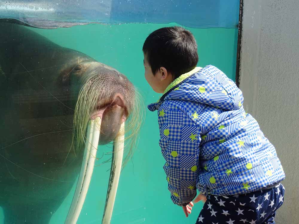 北海道|児童発達支援|動物園